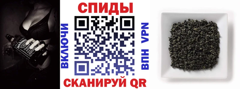 это Telegram  Мураши  Бутират 99% 