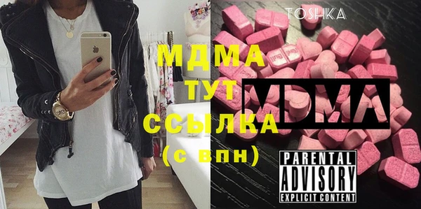 индика Алзамай