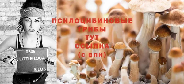 индика Алзамай