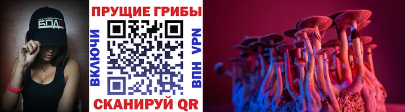 Галлюциногенные грибы ЛСД  Мураши 