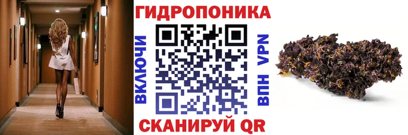 Канабис Amnesia  купить  цена  Мураши 